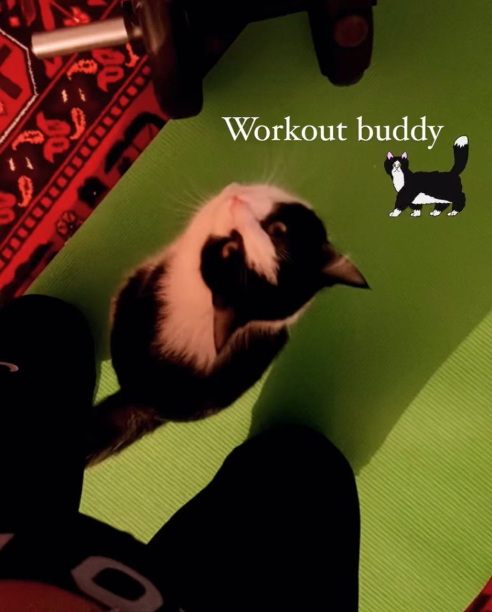 The Gym is Wherever You Are: Moving Beyond the Four Walls