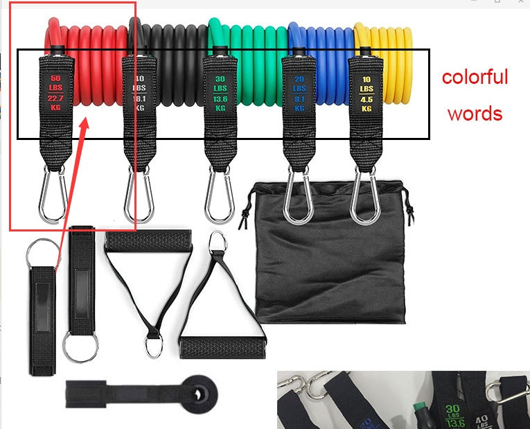 GymForce Fitness Rally Elastic Rope Resistance Band